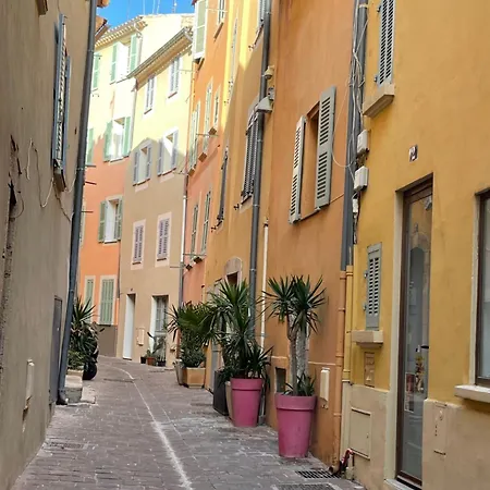 Le Palmae, Cocon Chic & Vegetal Au Coeur De