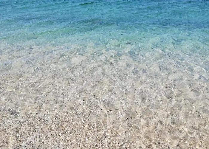 Appartamento Le Palmae, Cosy&chic - Centre Historique Hyères