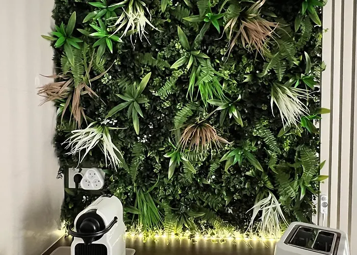 Le Palmae, Cosy&chic - Centre Historique Appartamento